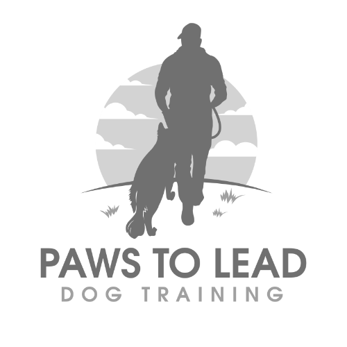  Paws to Lead Dog Training